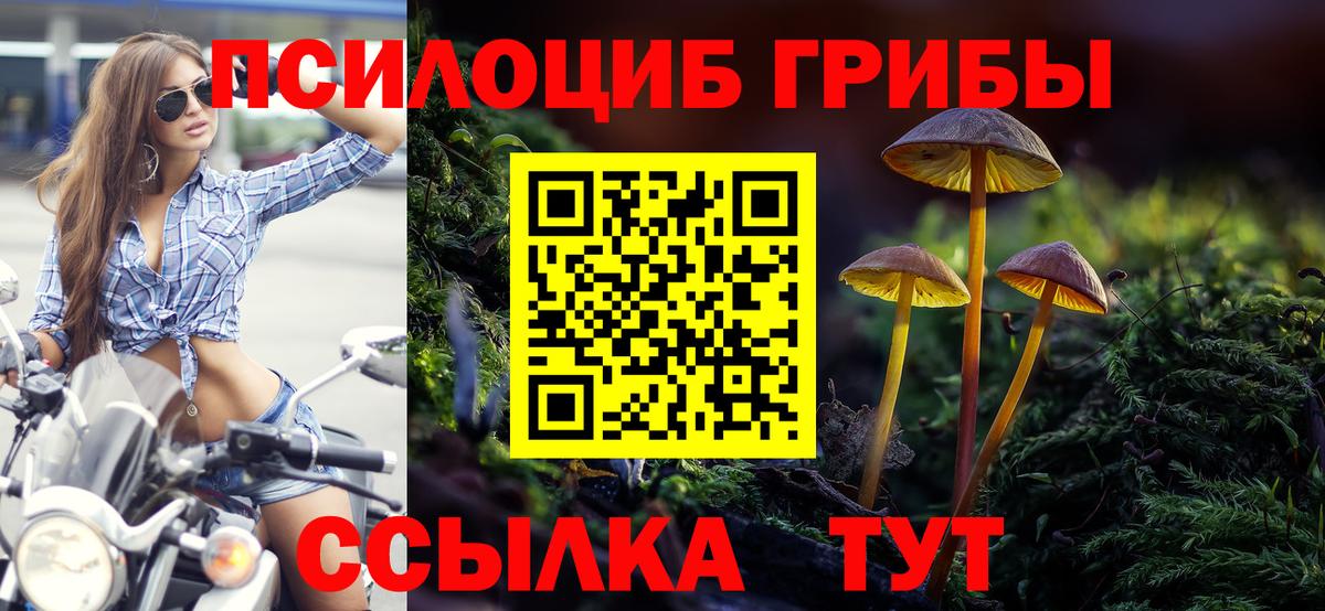 Галлюциногенные грибы мицелий Чебоксары
